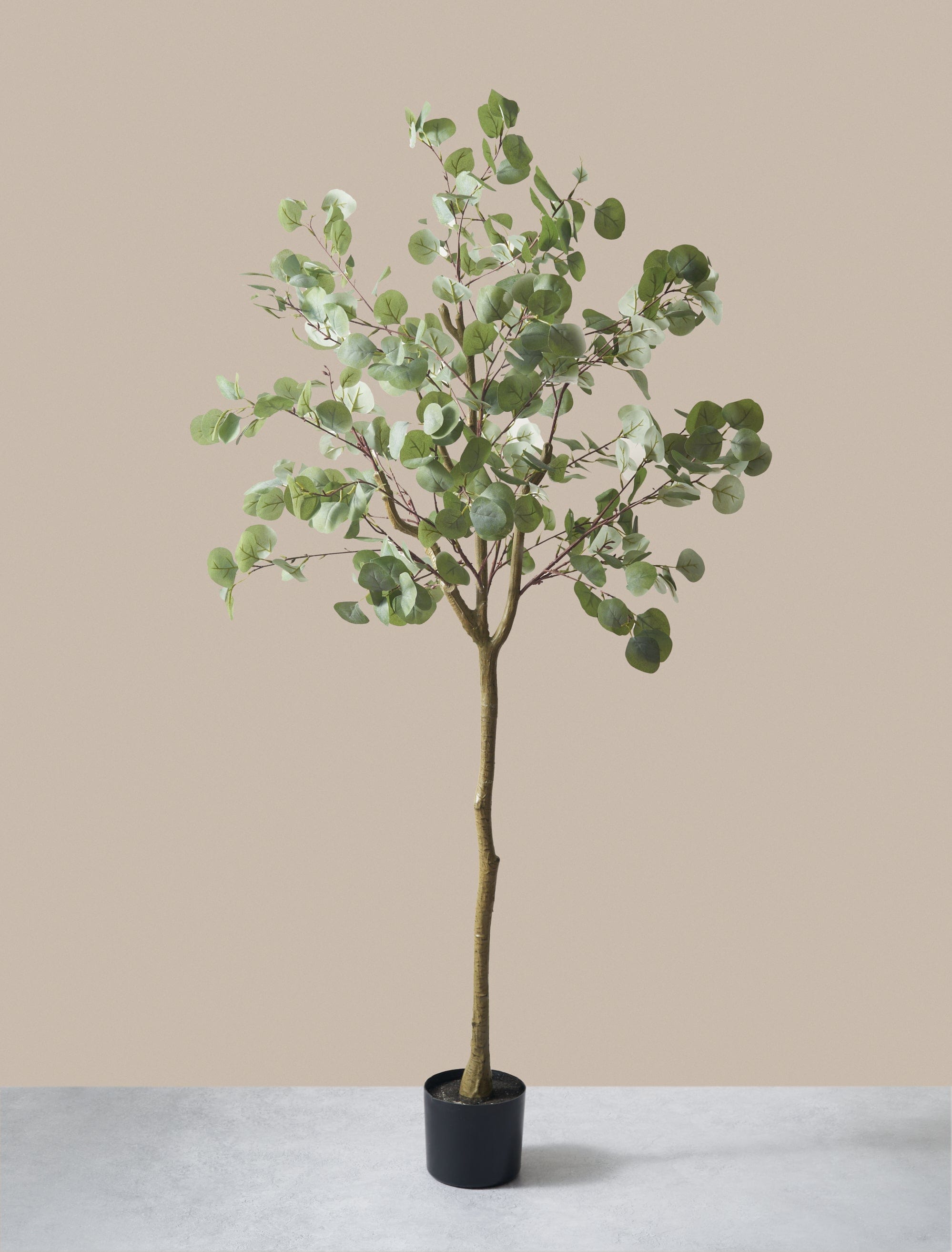 Faux Eucalyptus Tree 160cm / 5ft 2