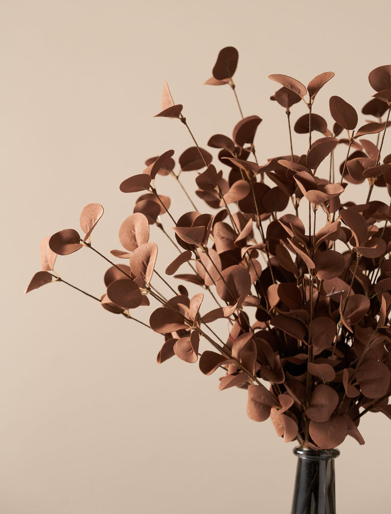 Falscher Eukalyptus - Braun (5 Stiele)