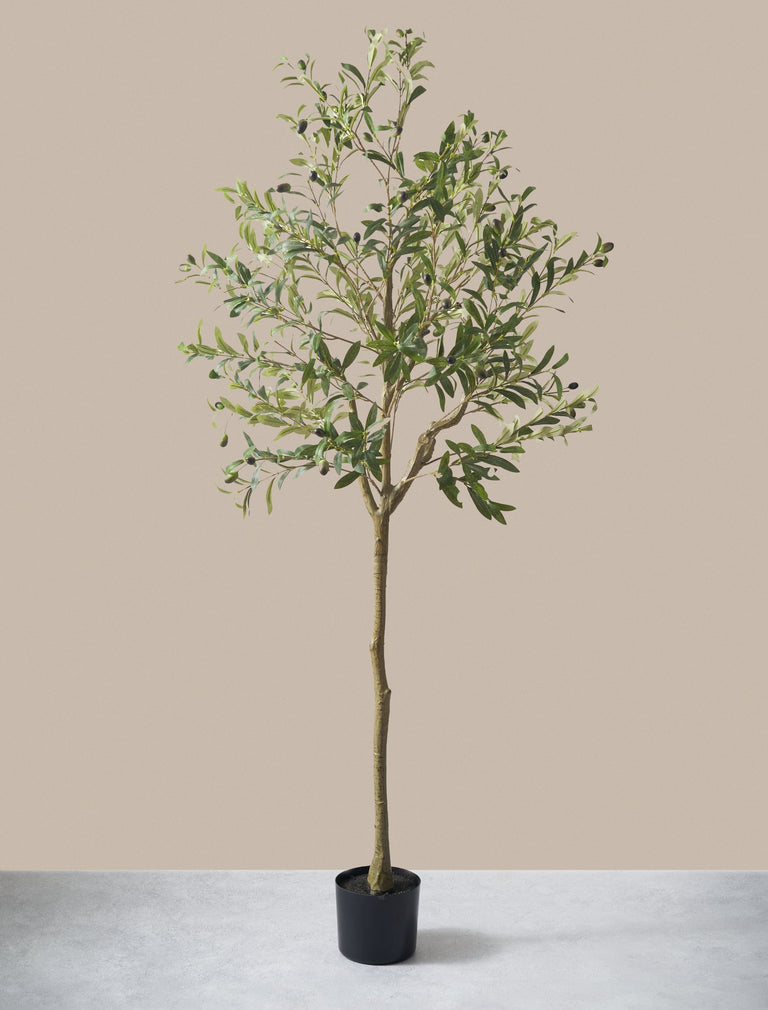 Faux Olive Baum 160cm / 5ft 2"
