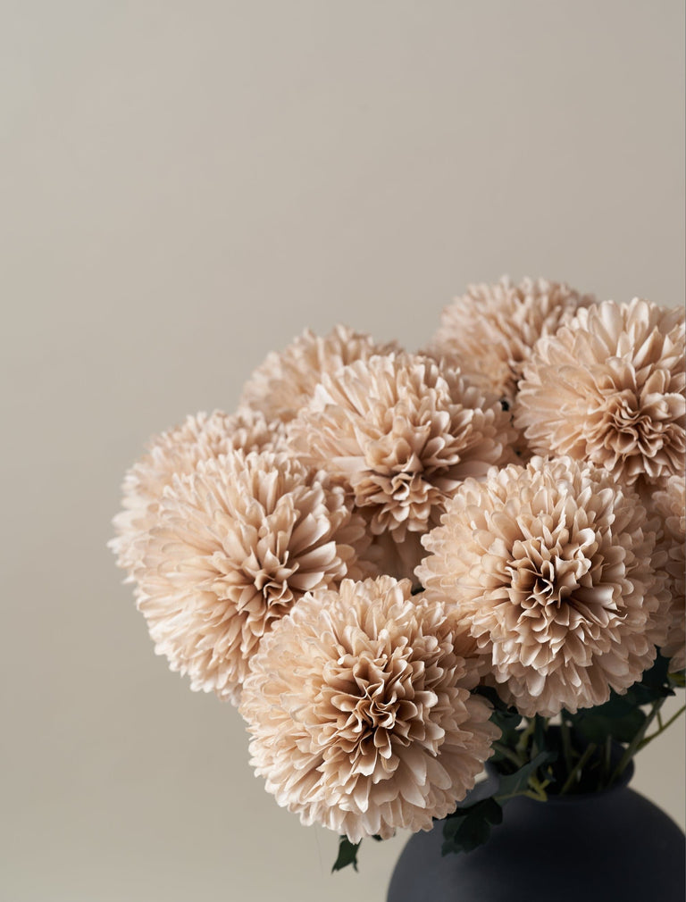 Großer Faux Kiku - Creme (10 Stiele)