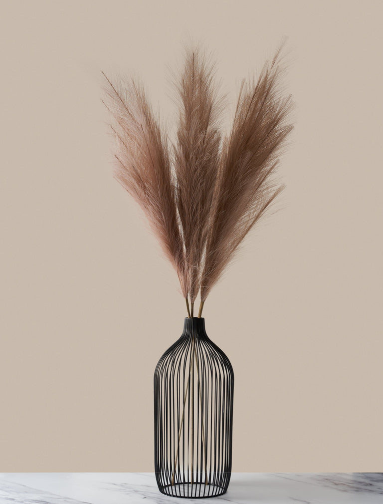 Hochgewachsenes Pampasgras - Natur (3 Stängel)