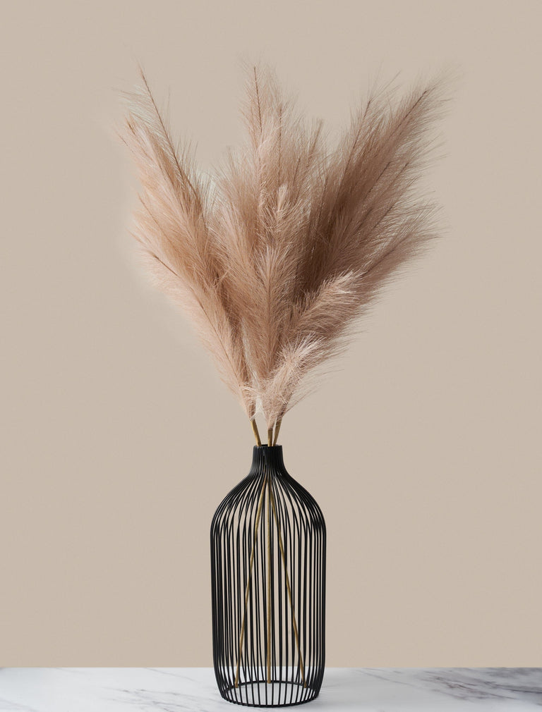 Hochgewachsenes Pampasgras - Natürliche Rose - Limitierte Auflage (3 Stiele)