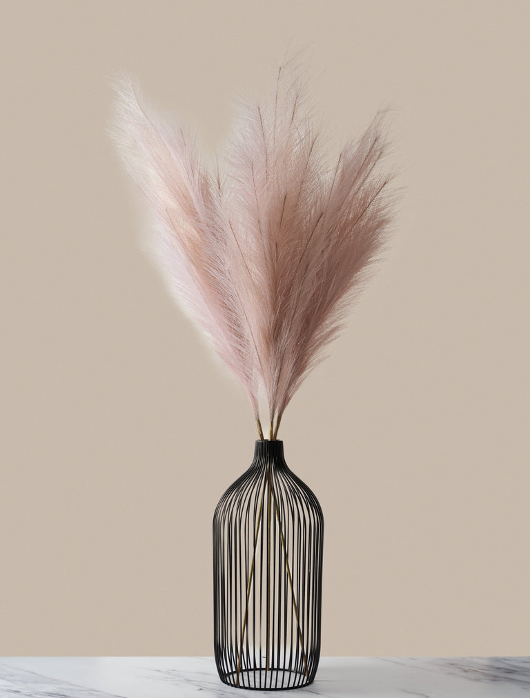 Hochgewachsenes Pampasgras - Dusk Pink (3 Stiele)