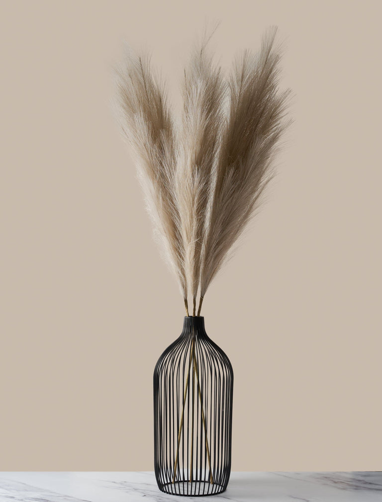 Hochgewachsenes Pampasgras - Braun (3 Stängel)