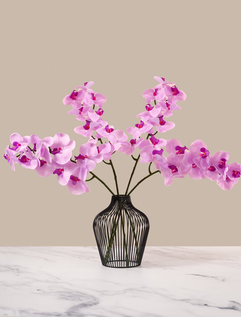Falsche Orchidee - Magenta (4 Stiele)