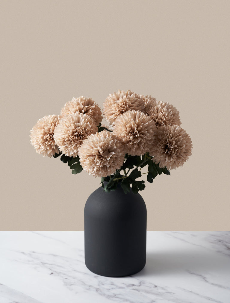 Grote nep kiku - Crème (10 stelen)