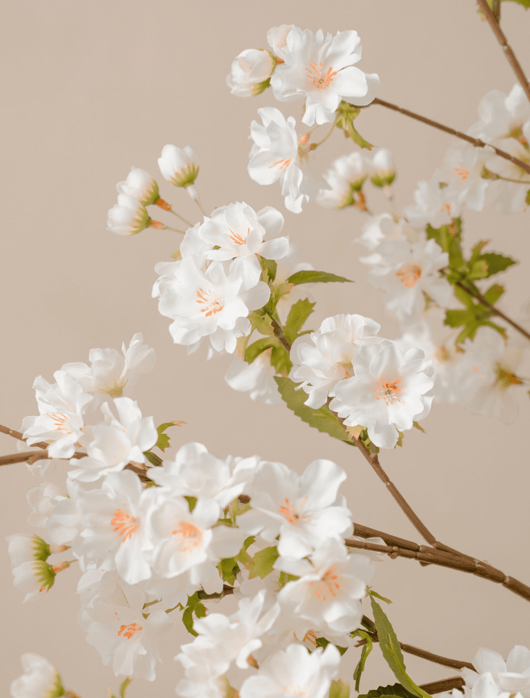 Faux Japanese Cherry Blossom - White (6 Stems)