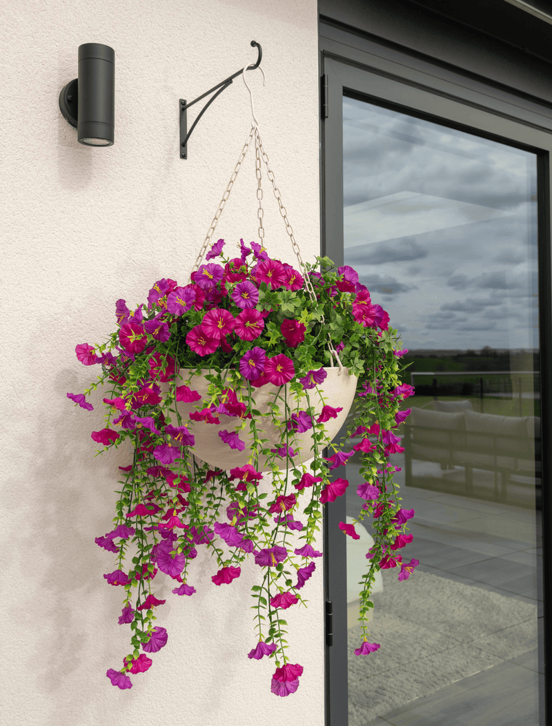 Outdoor Hanging Petunia Basket
