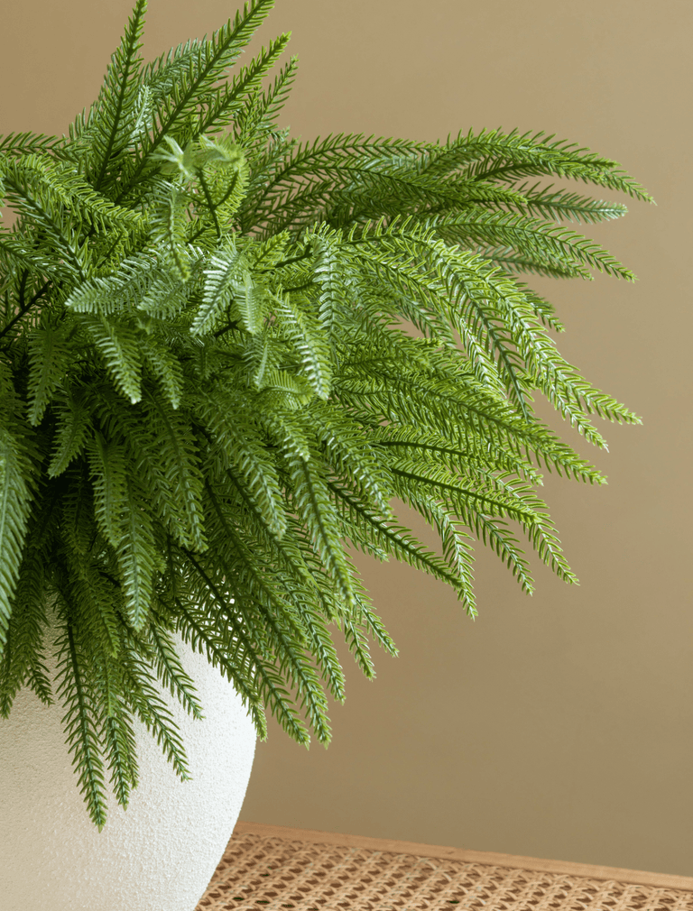 Faux Arrangement - Norfolk Pine Stems