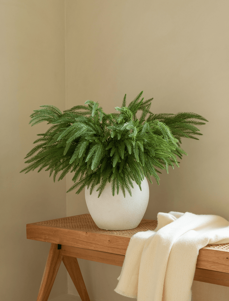 Faux Arrangement - Norfolk Pine Stems