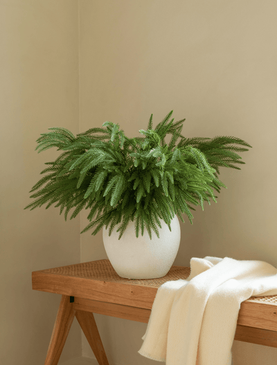 Faux Arrangement - Norfolk Pine Stems
