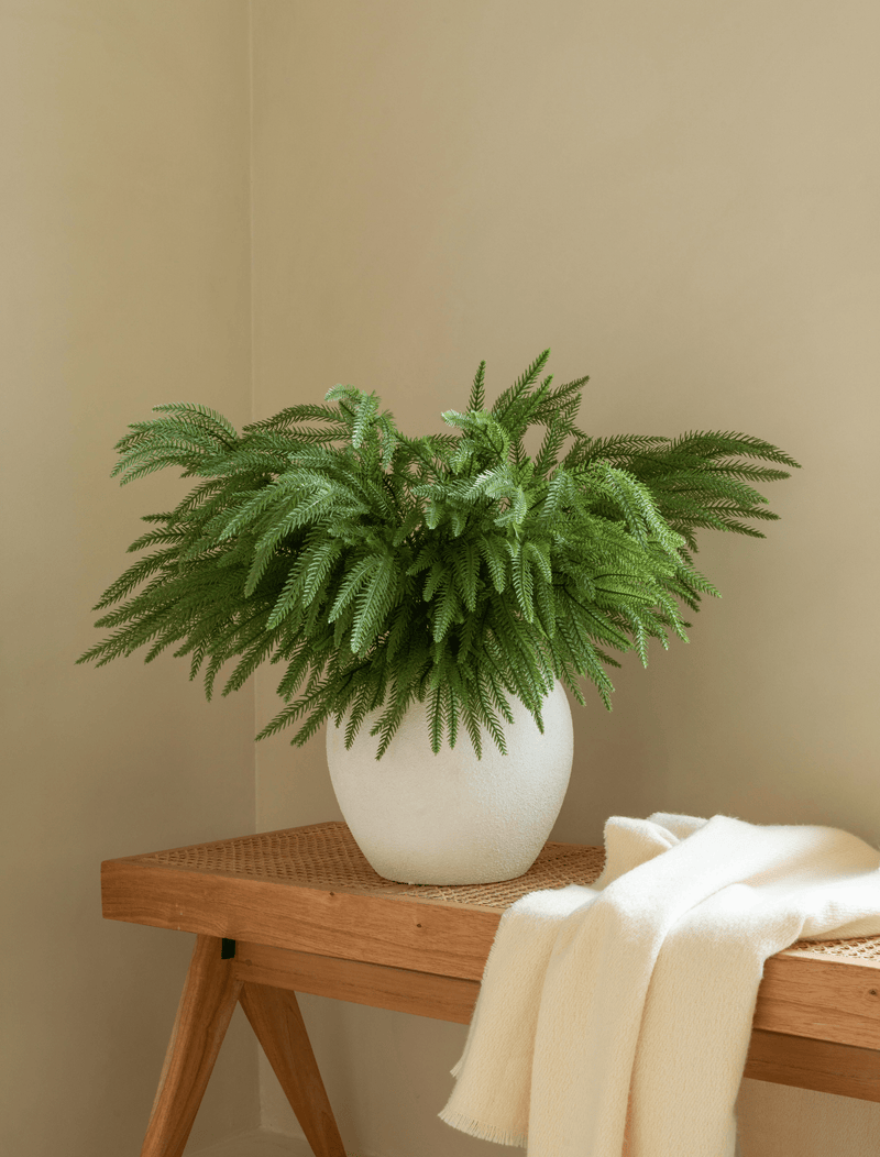 Faux Arrangement - Norfolk Pine Stems