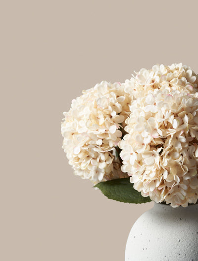 Large Faux Hydrangea - Cream (5 Stems)