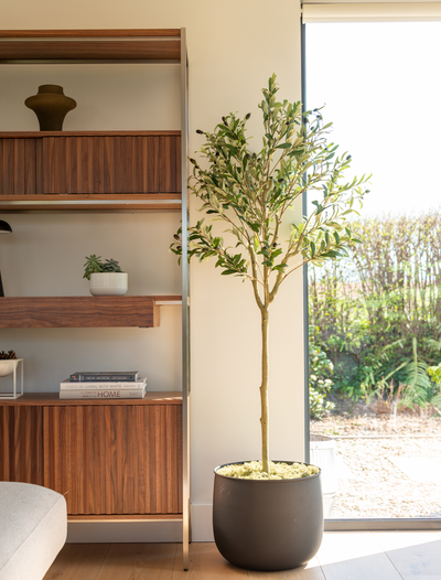 Faux Olive Tree 160cm / 5ft 2"