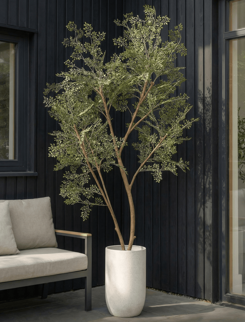 künstlicher baum wohnzimmer Künstlicher Ruscus-Baum (für drinnen oder draußen) 185 cm / 6 ft 1 in –  contempee