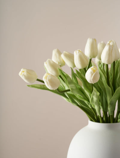 Faux Tulip - Ivory (25 Stems)