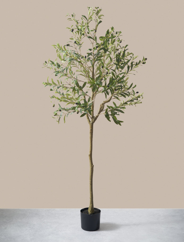 Faux Olive Baum 160cm / 5ft 2