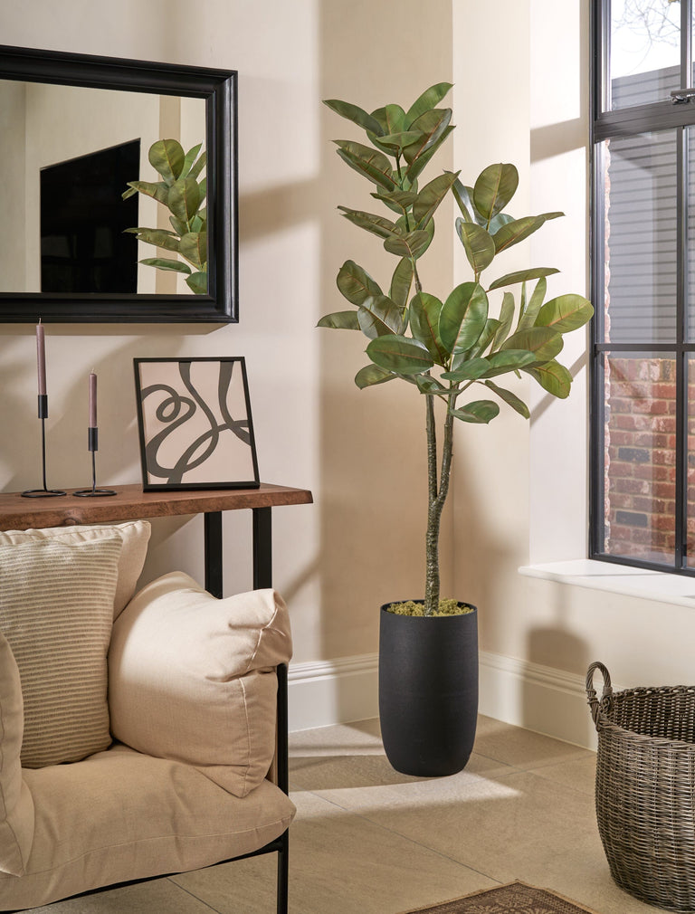 Faux Fiscus Elastica Tree