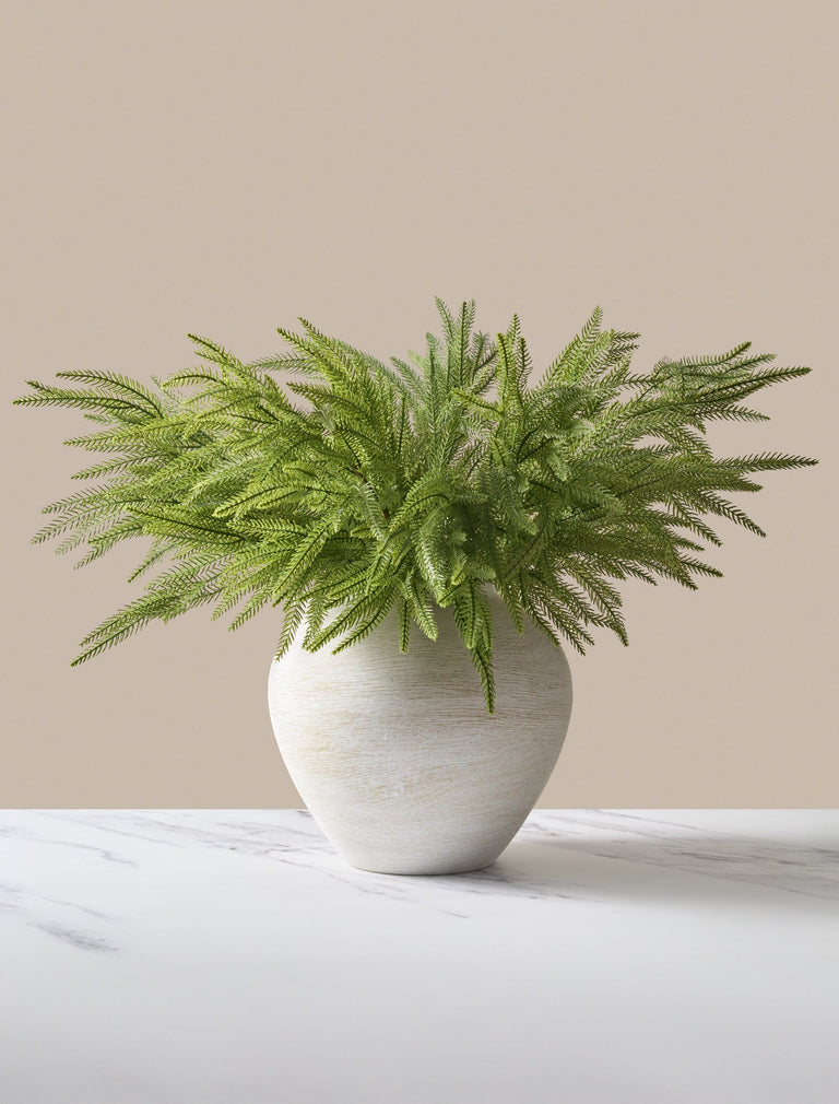 Faux Arrangement - Norfolk Pine Stems