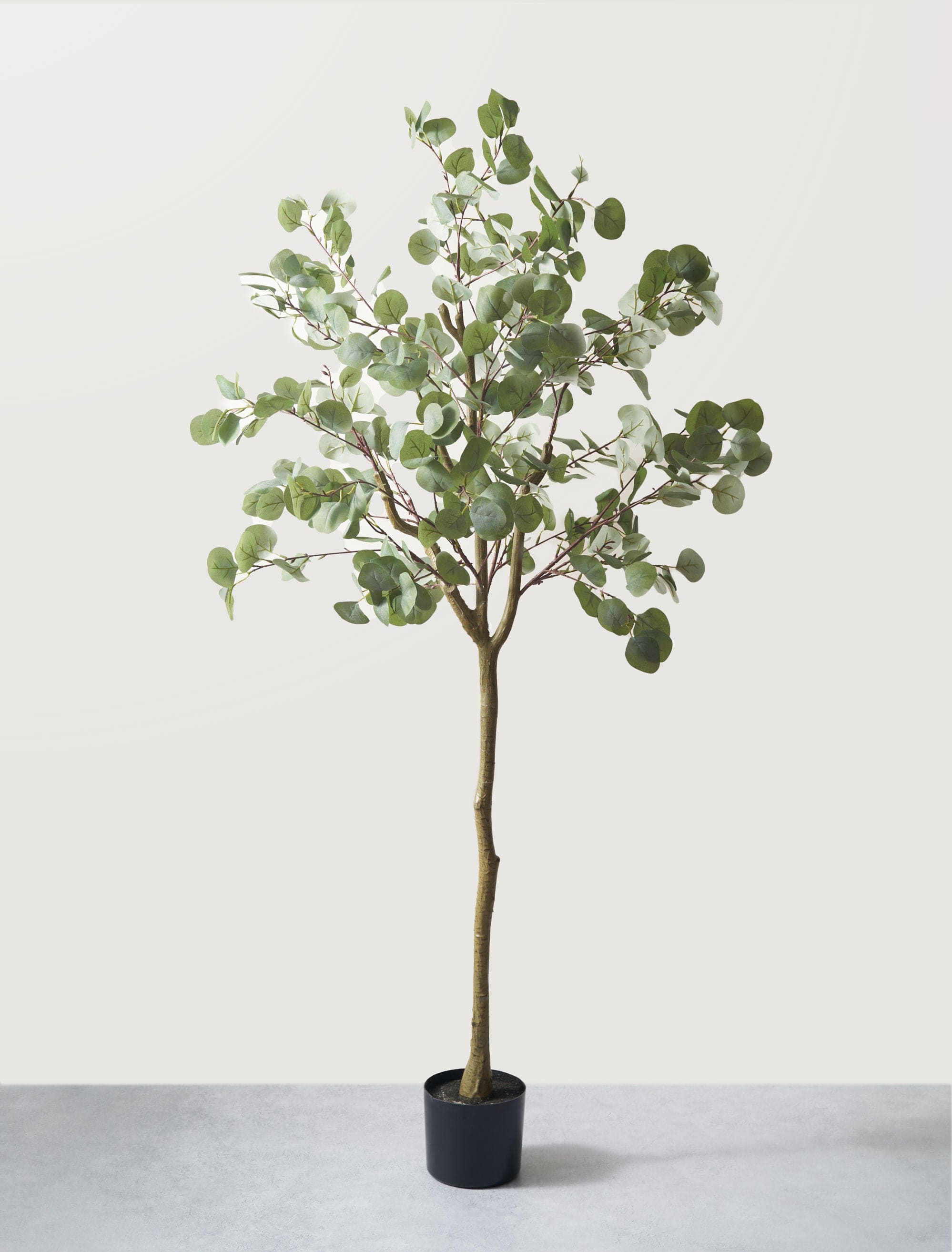 Faux Eucalyptus Tree 160cm / 5ft 2"