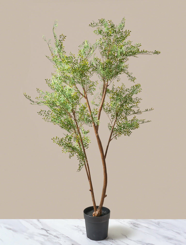 Faux Ruscus Tree (Indoor or Outdoor)