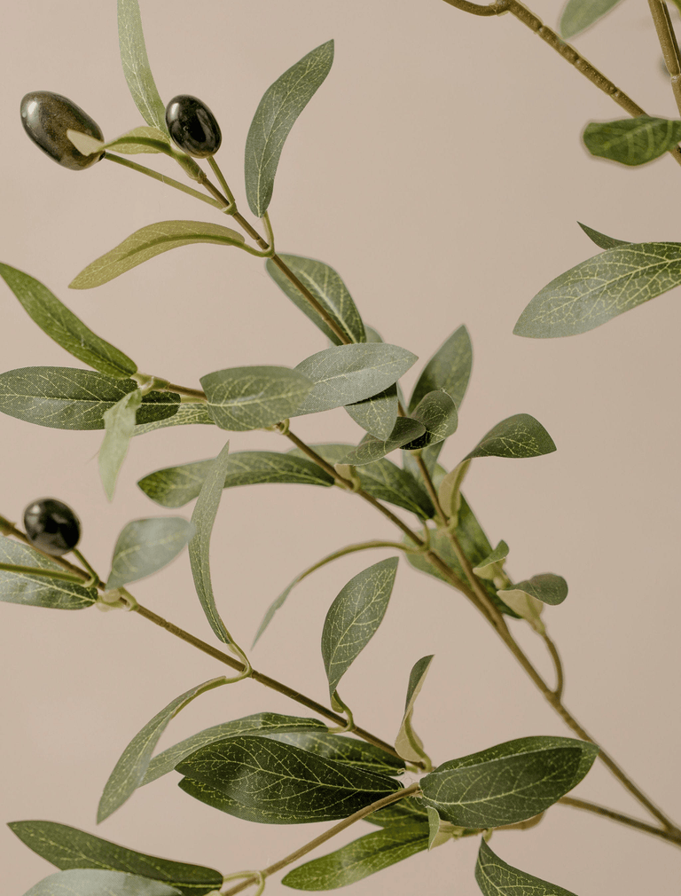 Faux Olive Oversized Branch (2 branches)