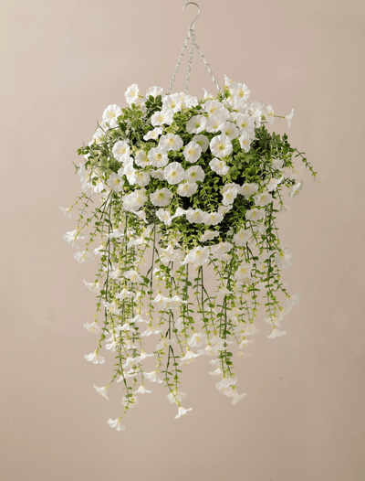 Outdoor – contempee