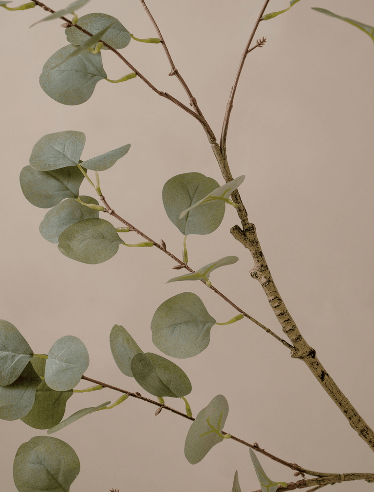 Overdreven grote tak van kunst-eucalyptus (2 takken)