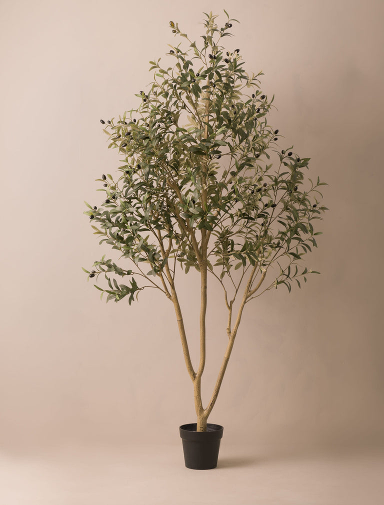 Künstlicher mediterraner Olivenbaum für den Außenbereich (für drinnen oder draußen) 200 cm / 6 ft 7 in
