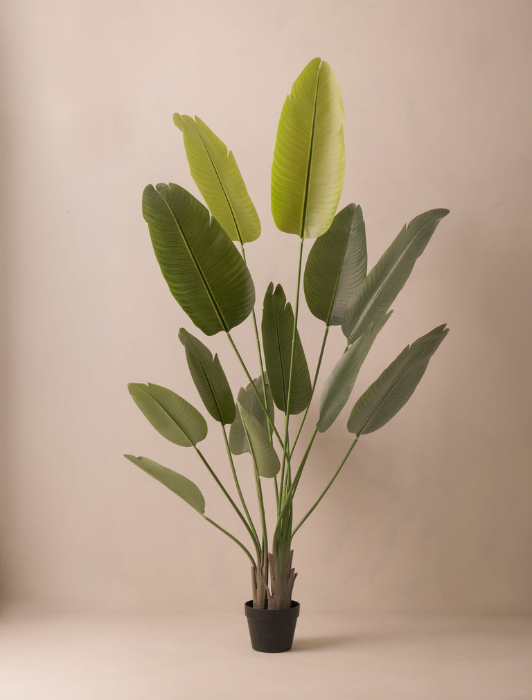 Faux Outdoor Birds Of Paradise Tree (Indoor or Outdoor) 180cm / 5ft 11in