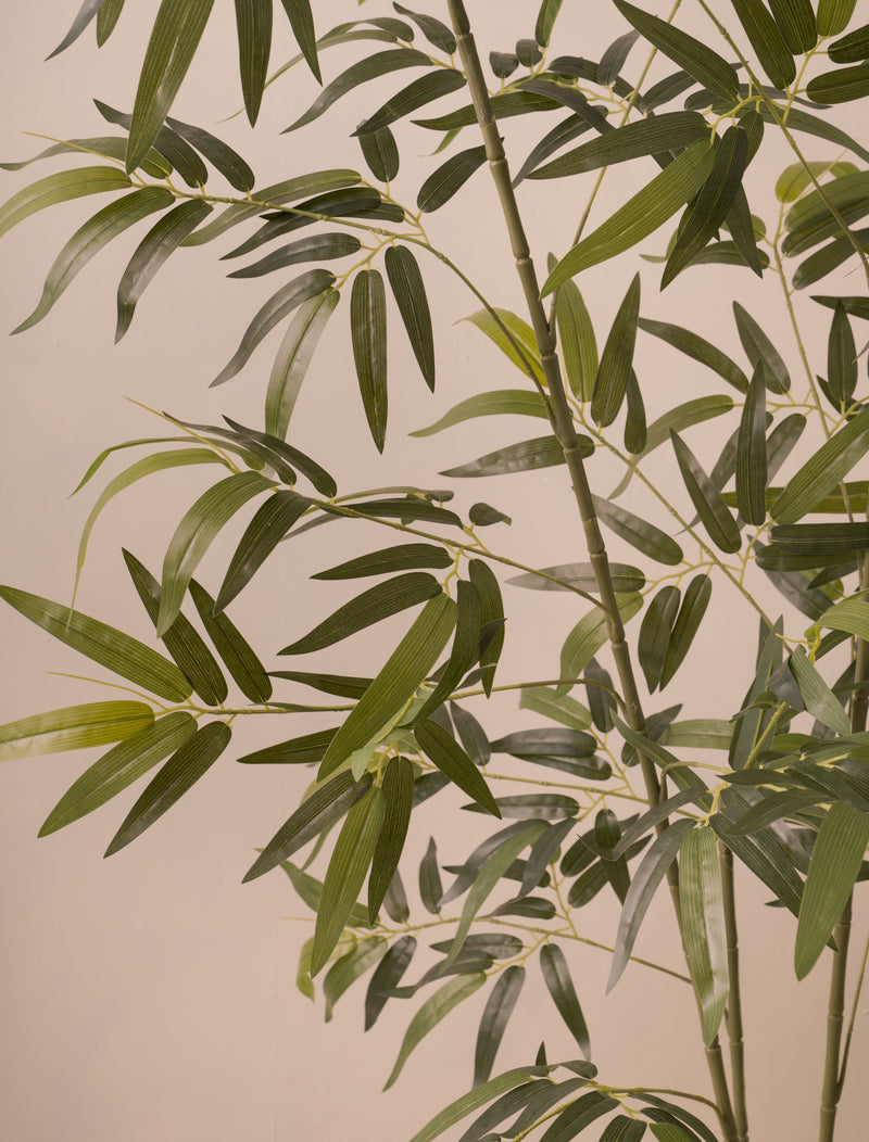 Künstlicher Bambusbaum (für drinnen oder draußen) 172 cm / 5 ft 8 in –  contempee