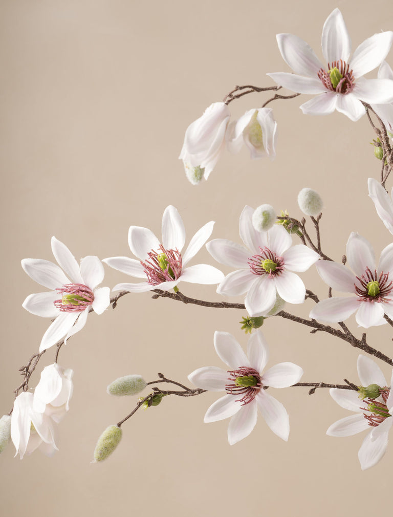 Falsche große Magnolie - Weiß (8 Stiele)