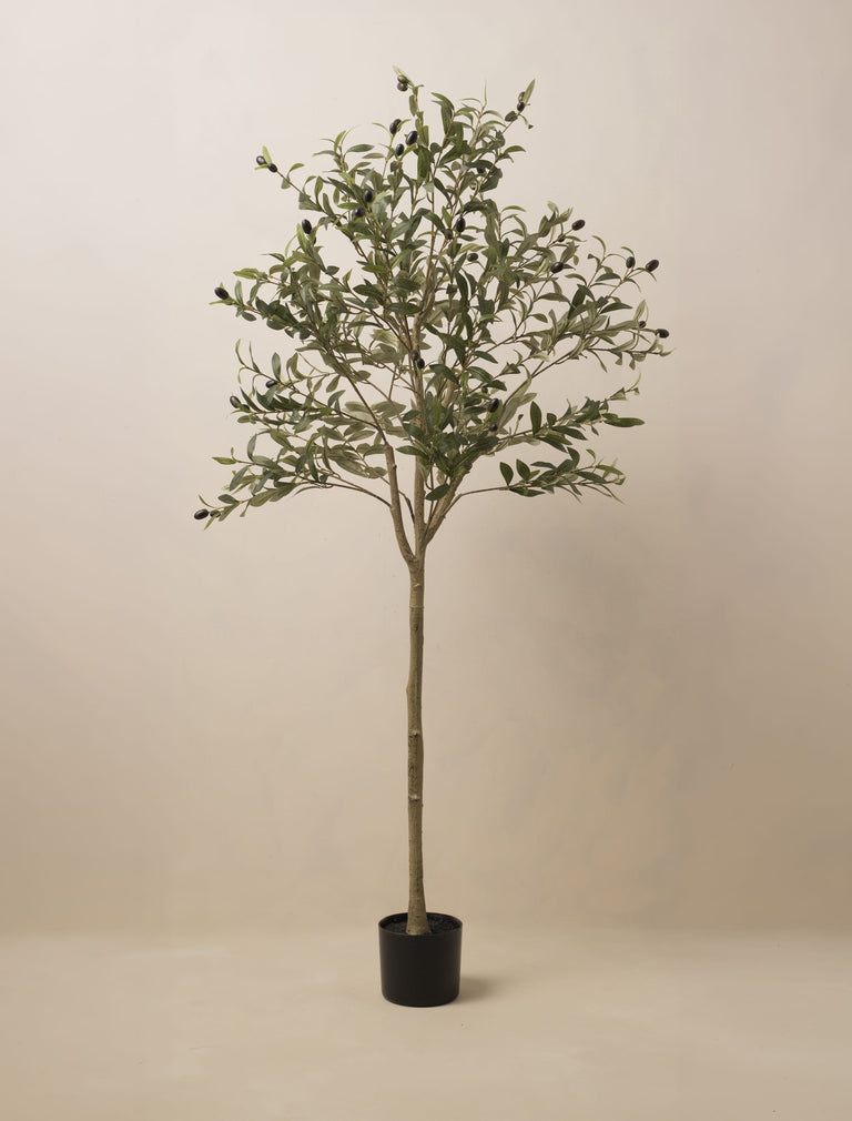 Faux Olive Tree 160cm / 5ft 2"