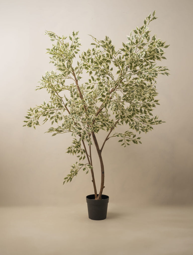 Kunstbaum „Ficus Anastasia“