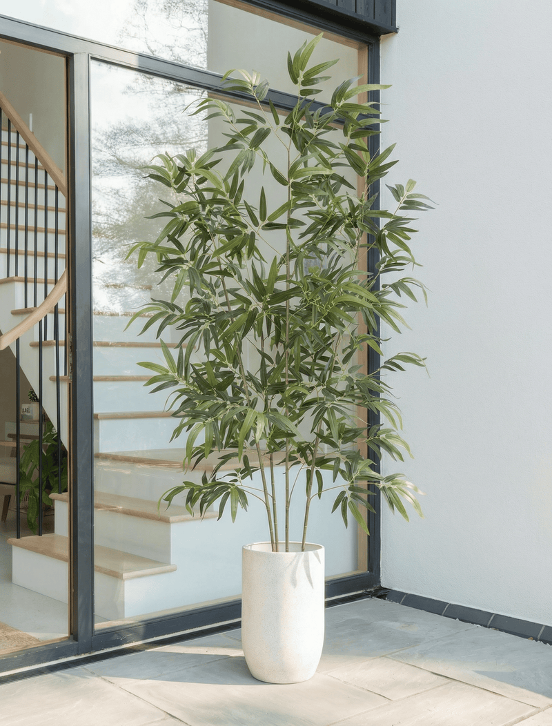 Künstlicher Bambusbaum (für drinnen oder draußen) 172 cm / 5 ft 8 in –  contempee