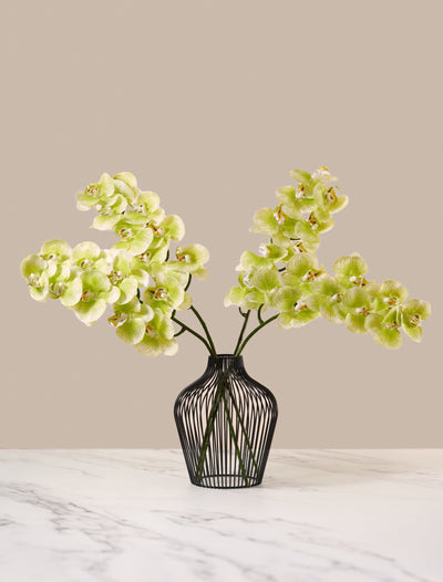 Faux Orchid - Lime (4 stems)