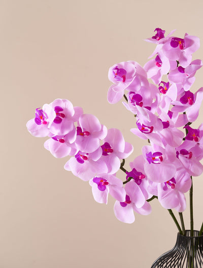 Faux Orchid - Magenta (4 stems)