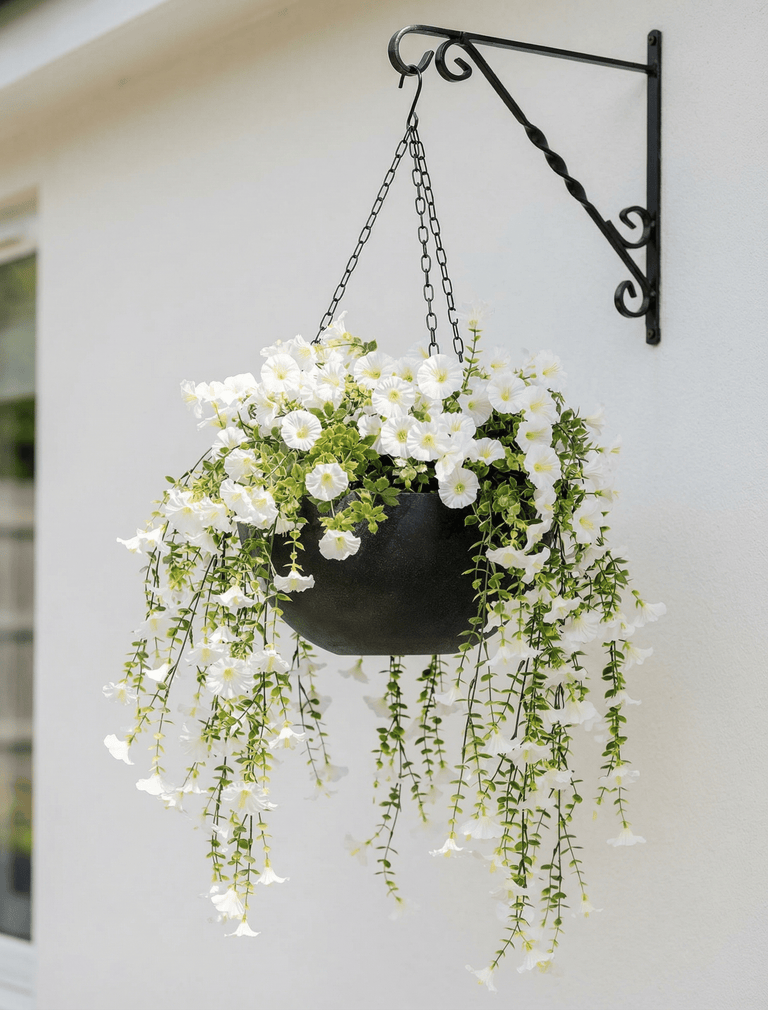 hanging plant white flowers Outdoor Hanging Petunia Basket