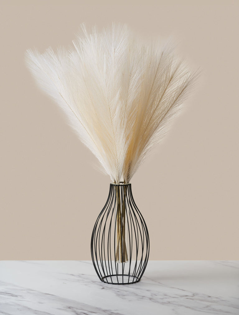 Falsches Pampasgras - Beige (5 Stiele)