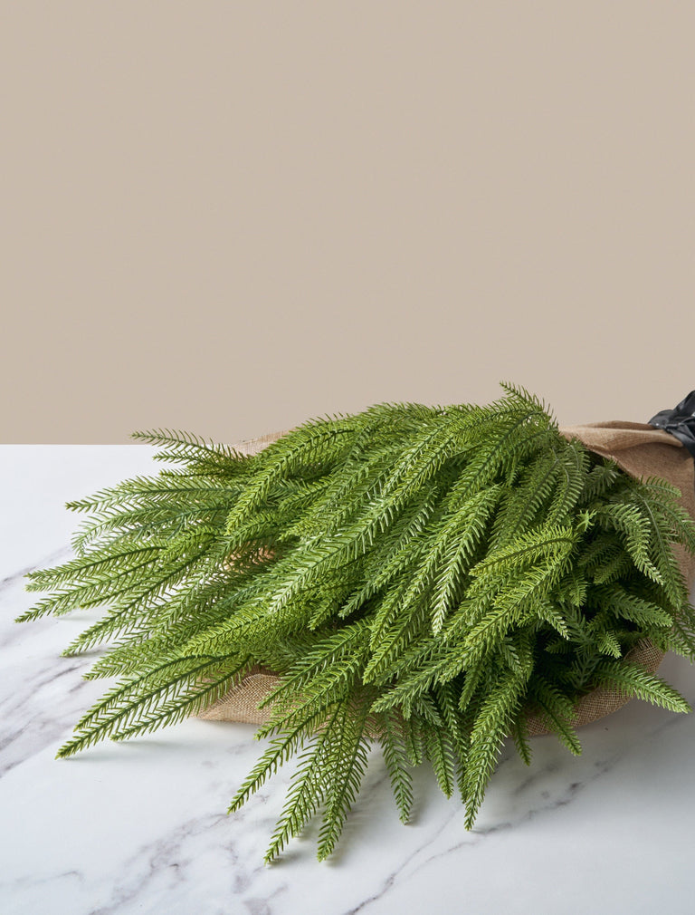 Nep-Norfolk den (5 stelen)