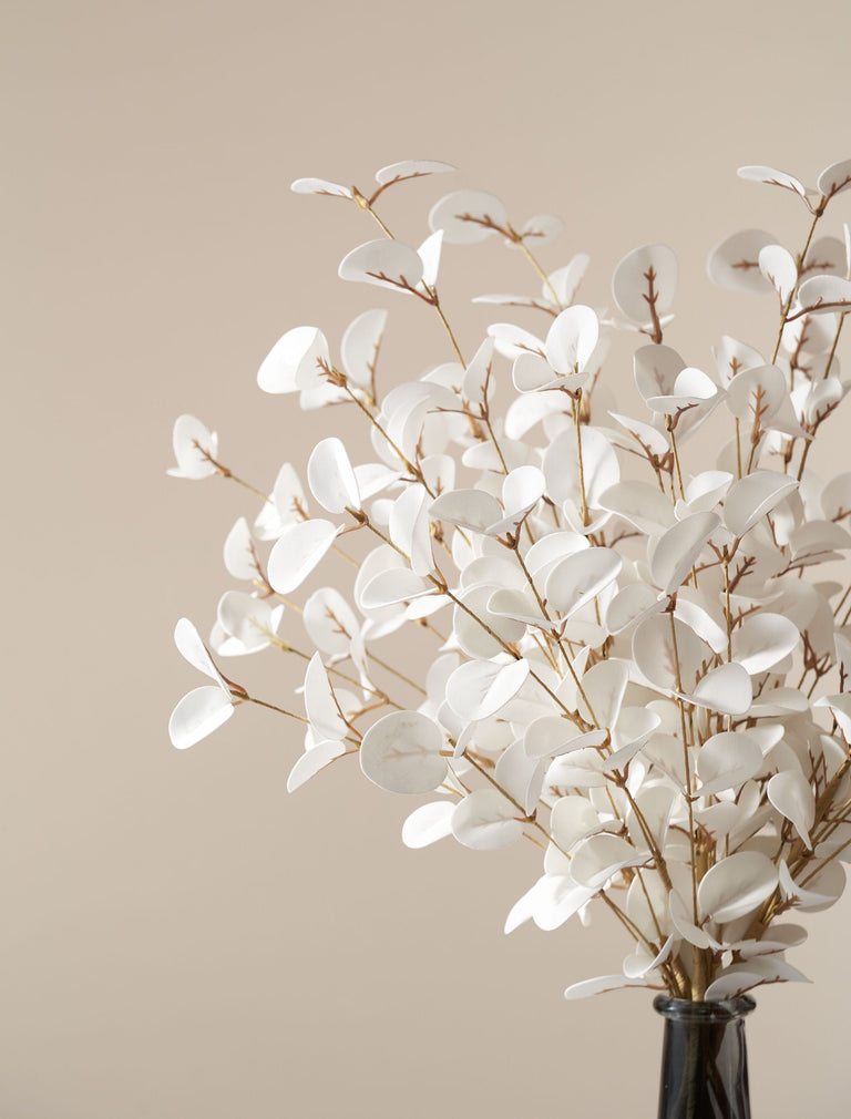 Faux eucalyptus - wit (5 stelen)