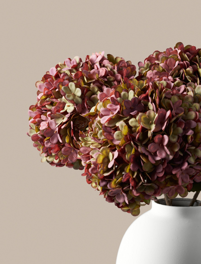 Grote hortensia - paars (5 stelen)